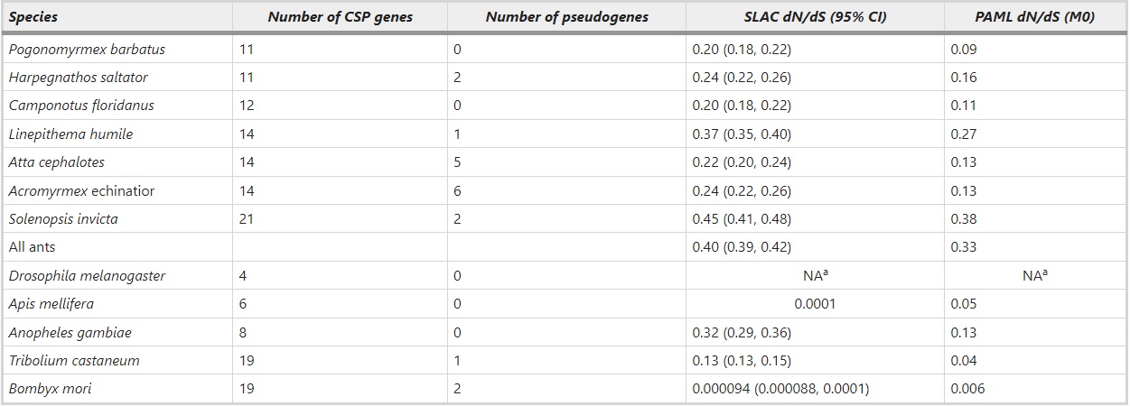 Number of putative CSP genes